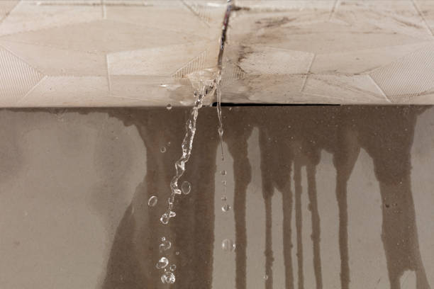 Professional Burst Pipe Cleanup technician working in Allegan, MI